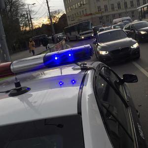 一龙双凤刘晓莉的背景故事
